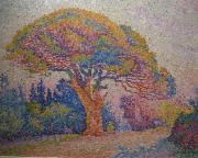 Paul Signac By Paul Signac oil painting reproduction